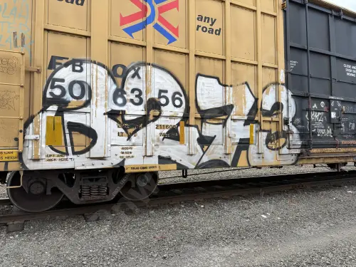 FBOX506356