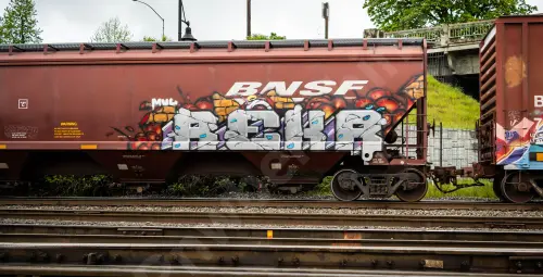 BNSF451199
