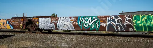 AOK55494
