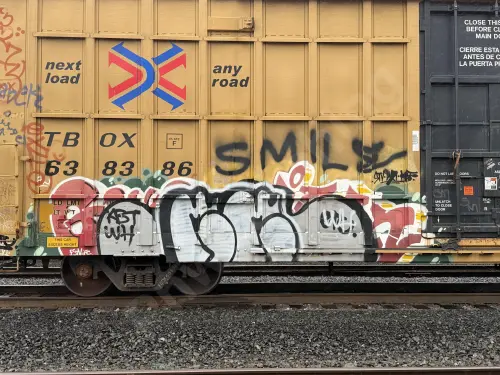 TBOX638386