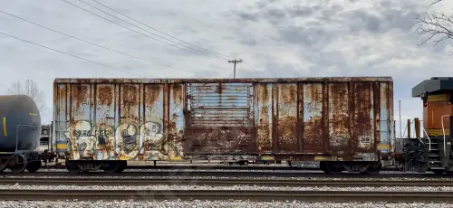 SRN6463