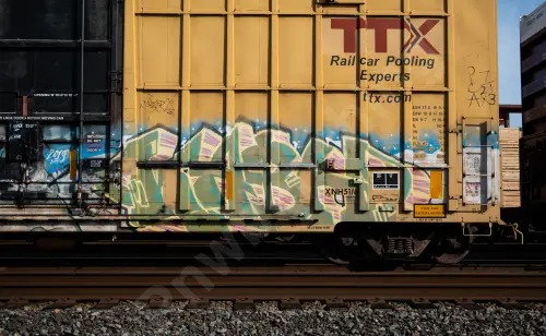 FBOX502403
