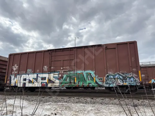 UCRY86244
