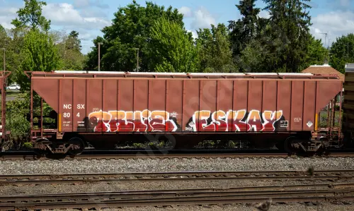 Train photo