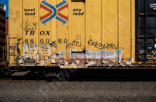 TBOX660060