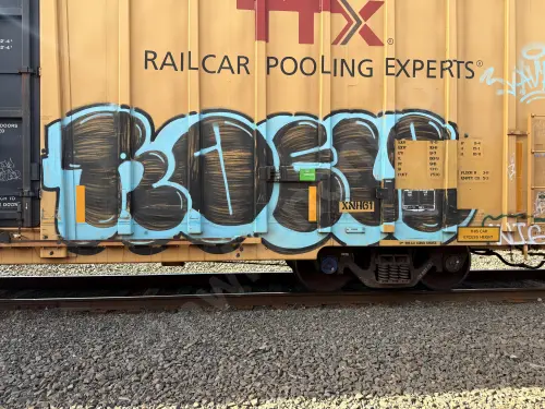 TBOX667497