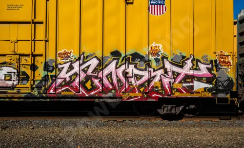 UP701643
