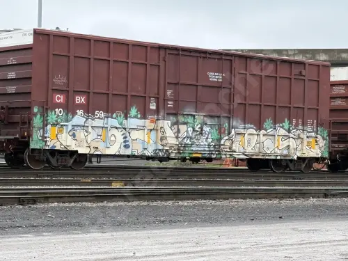 Train photo