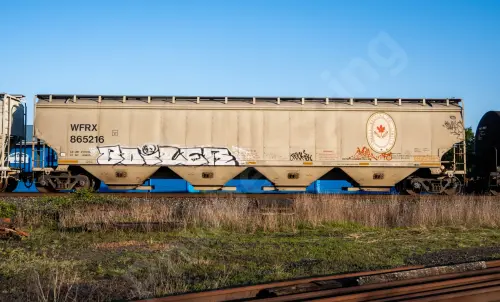 Train photo