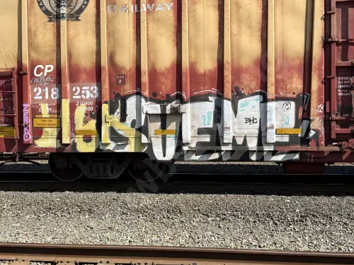 CP218253