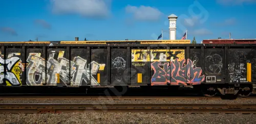 GNTX297173