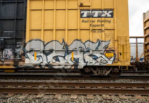 FBOX502897
