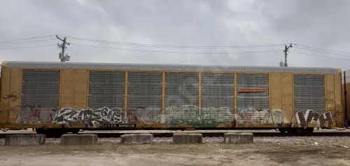 CTTX690276