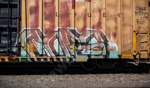 TBOX668032