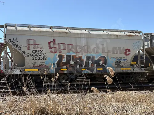 CEFX303518