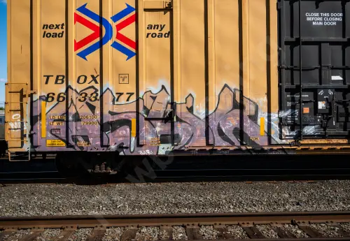 TBOX663377