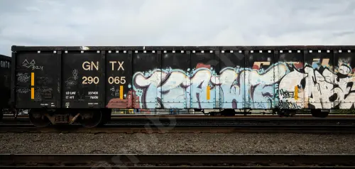 GNTX290065
