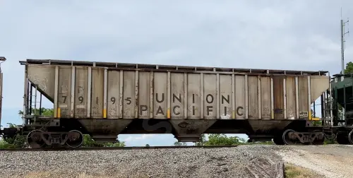 UP79195