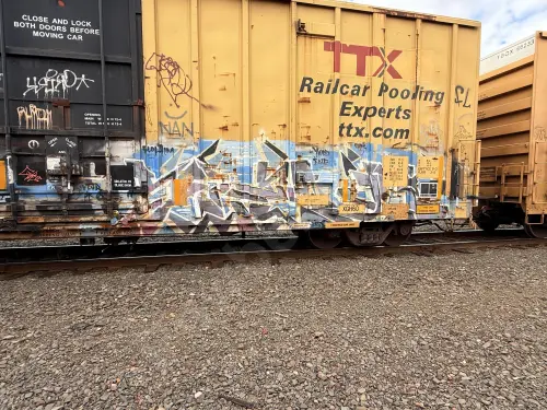 TBOX660558