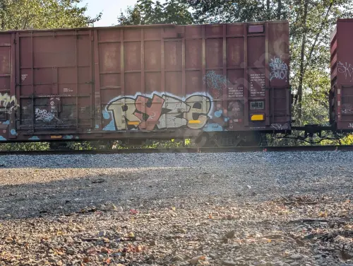 CP220211