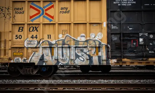FBOX504411