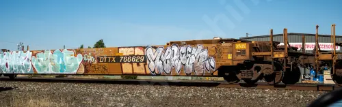 DTTX766629