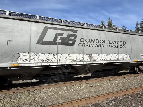 Train photo