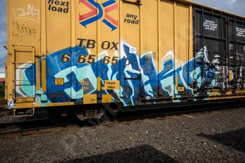 TBOX665650