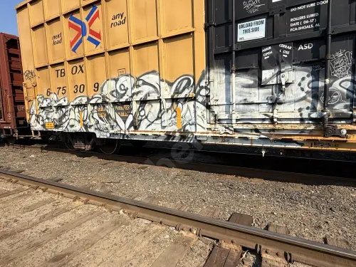 TBOX675309