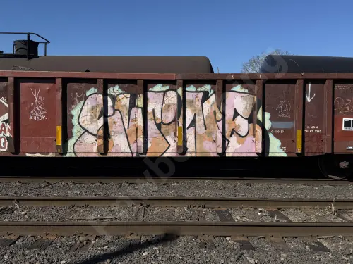 RFRX365178