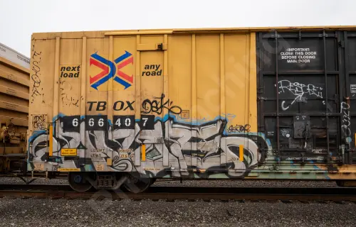 TBOX666407