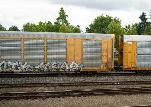 TTGX691542