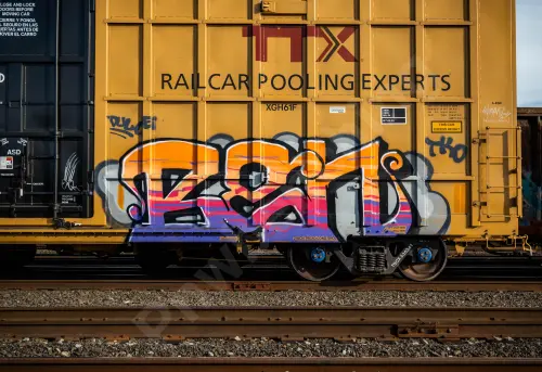 TBOX636341