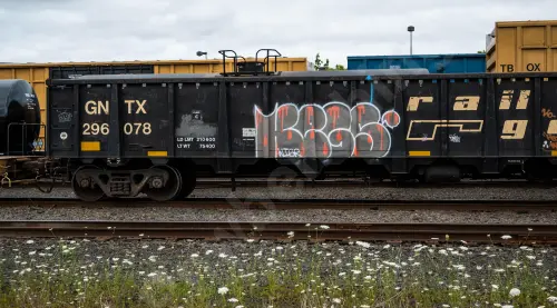 GNTX296078