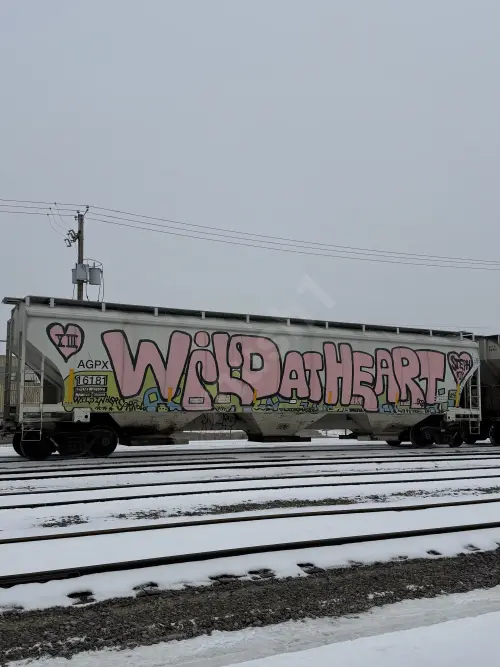 Train photo