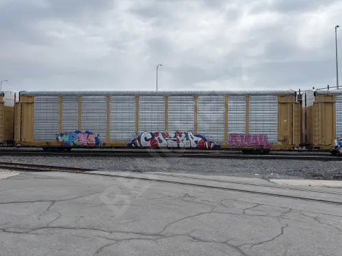 Train photo
