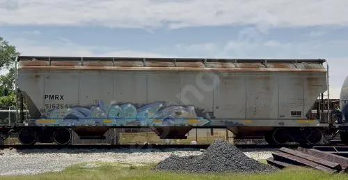 PMRX516254