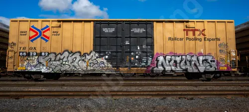 TBOX662982
