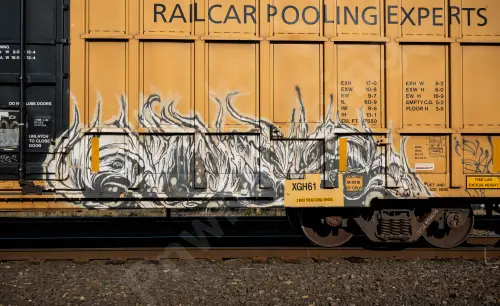 TBOX639426