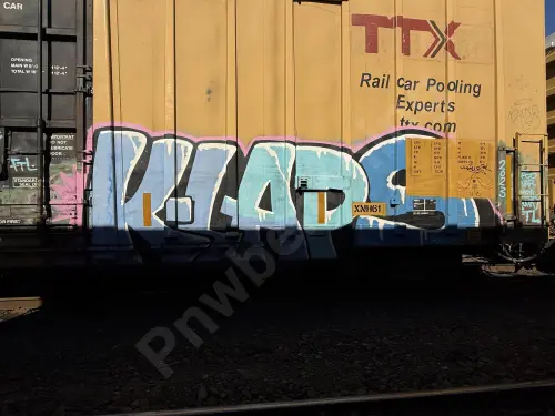 TBOX666199