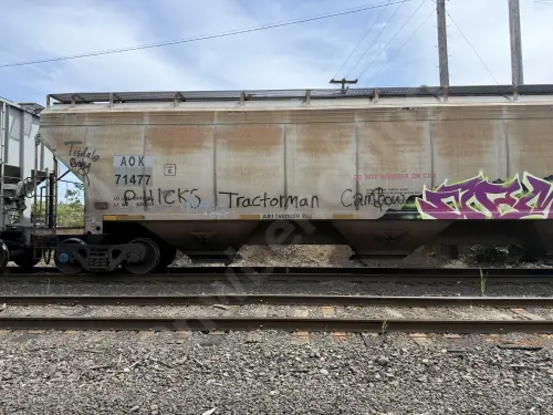 AOK71477