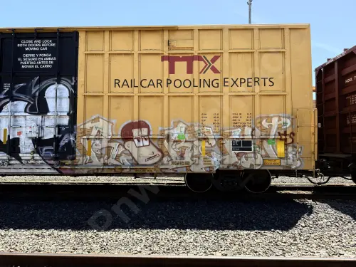 TBOX640838