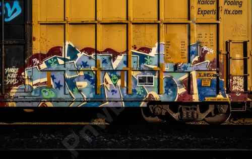 FBOX504125