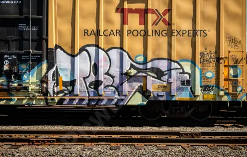 TBOX667420