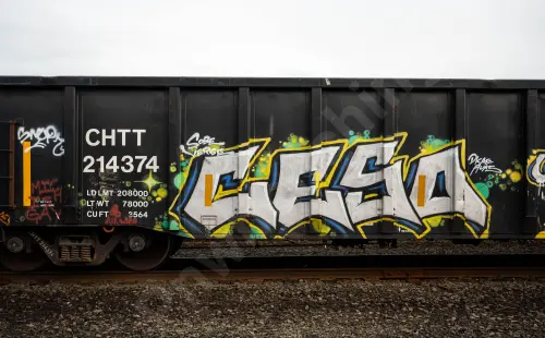 CHTT214374