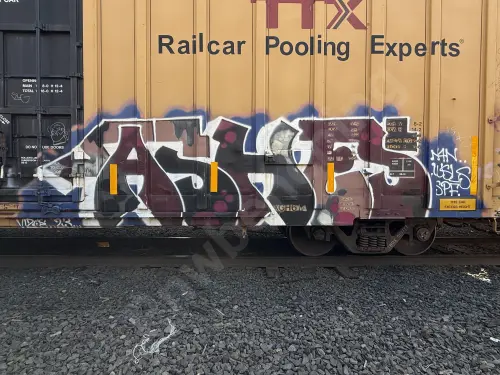 TBOX663777
