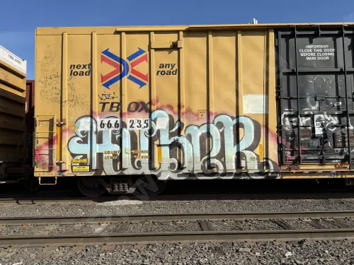 TBOX666235