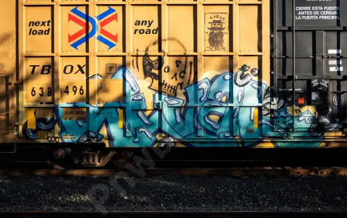 TBOX638496