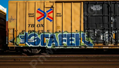 TBOX667435