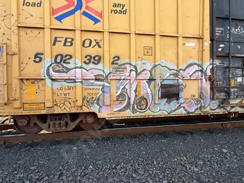 FBOX502392